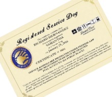 registered service dog certificate