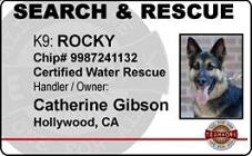 Search Rescue ID Badges