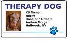 Therapy Dog ID Badges