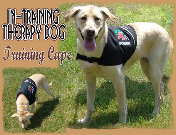 therapy in embroidered vest working service therapy in embroidered vest working service