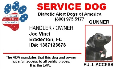 service dogs of america working service diabetic alert dogs of america service dogs of america working service diabetic alert dogs of america