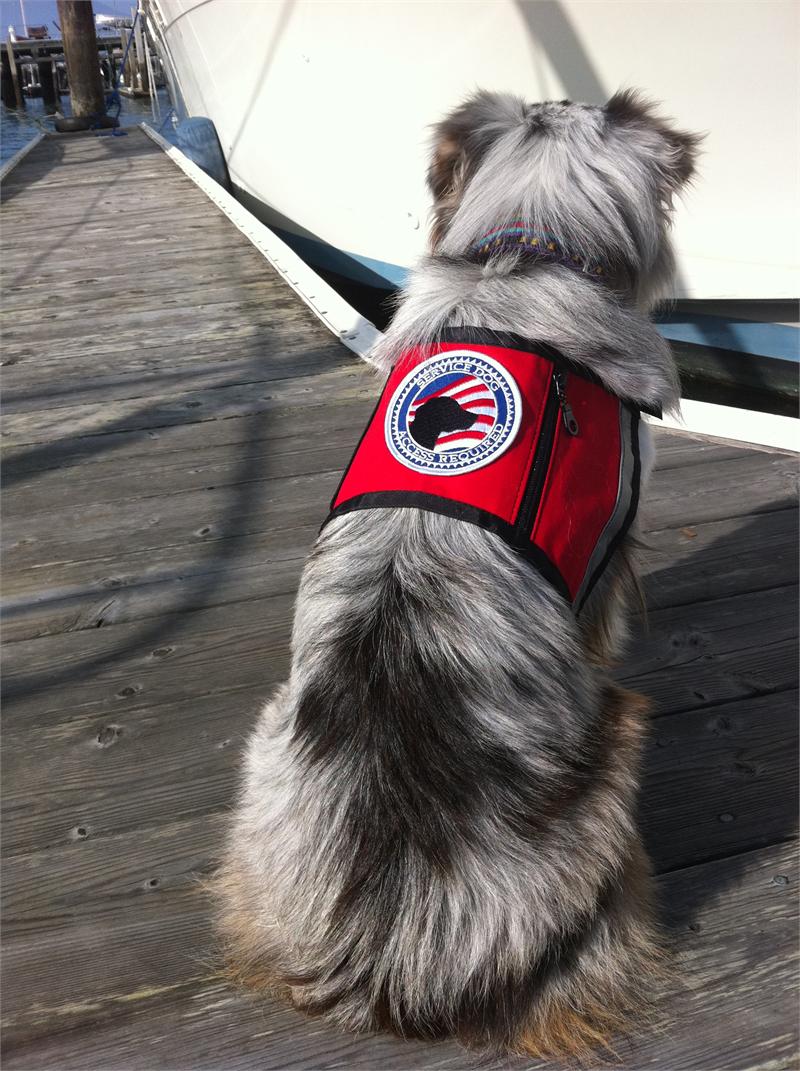 Reflective Service Dog Vest with ID Badge Holder and Zipper Pocket.