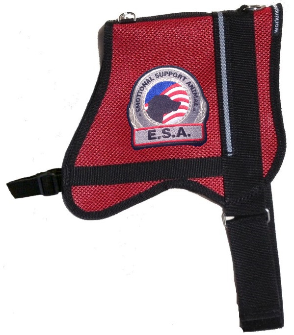 Official Premium Mesh Emotional Support Dog Vest |with ID Card