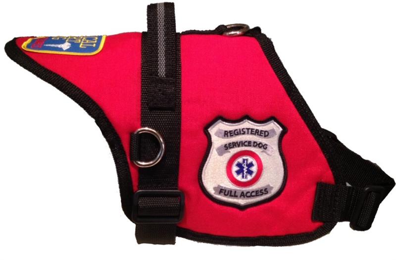 33 best Service Dog Vests Ideas for Your Furry Friends | FallinPets