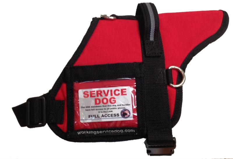 Official Vest | Registered Service Dog Padded Service Dog ...