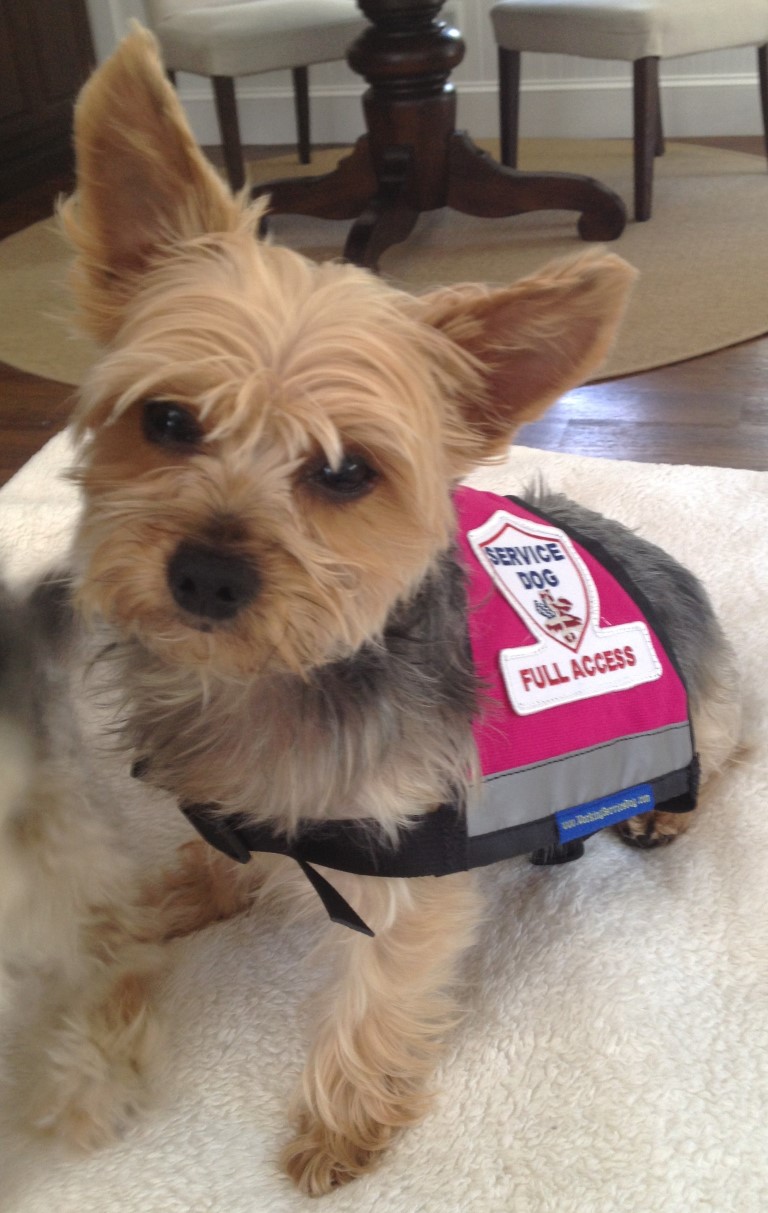 XX-Small and X-Small Premium Reflective Service Dog Vest with Zipper Pocket