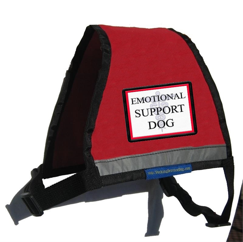 emotional support reflective emotional support vest with id badge holder emotional support reflective emotional support vest with id badge holder