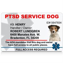 Holographic Military PTSD Working Dog ID Badge Service Dog K-9 ID Card 17 