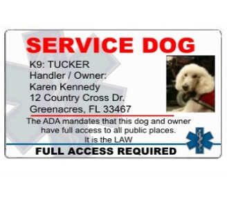 register dog as service dog free