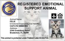 register emotional support cat free