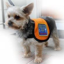 tiny service dog vest