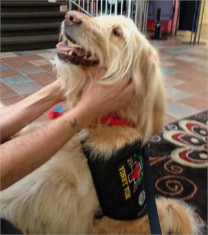 therapy in embroidered vest working service therapy in embroidered vest working service
