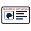 Custom ID Card