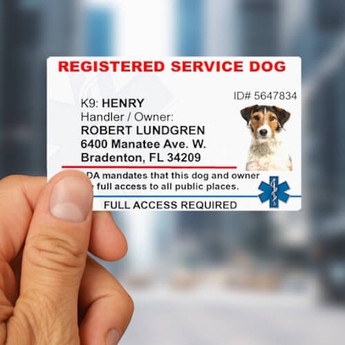 ID Cards
