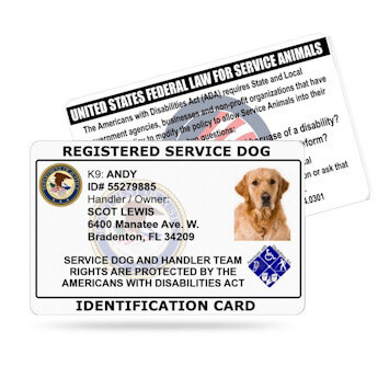 ID Cards