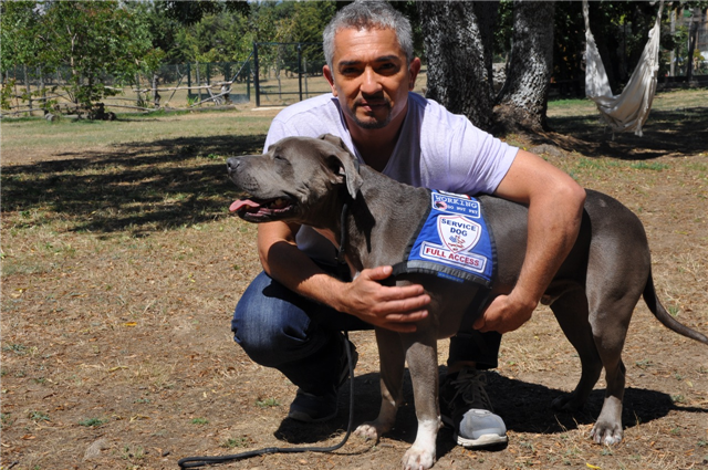 Professional trainer Cesar Millan with his working dog wearing our premium service dog vest
