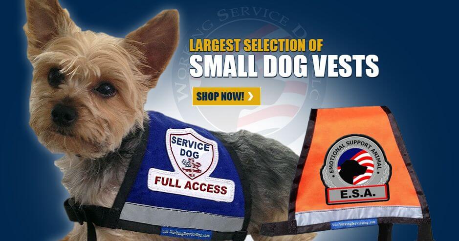 Miniature service dog vests